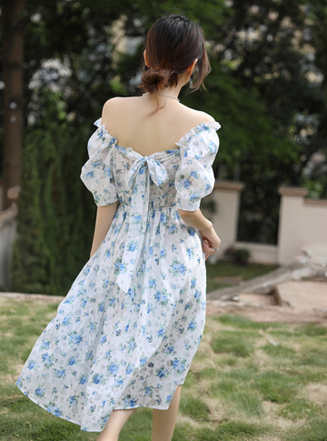 Blue Fairy Floral Dress