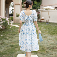 Blue Fairy Floral Dress