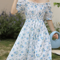 Blue Fairy Floral Dress