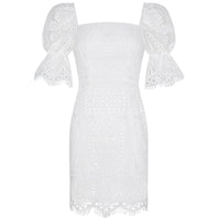 Finest Amusement Lace Dress