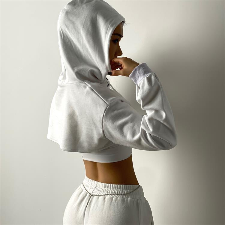 Chic Forever Crop Hoodies